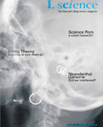 issue11