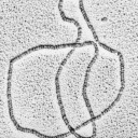 knot