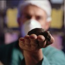 action_uk_animal_research