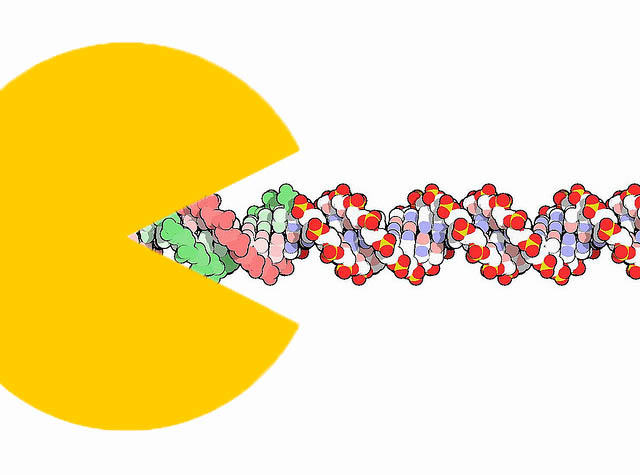 dna_main