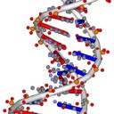 epigenetics2_thumb